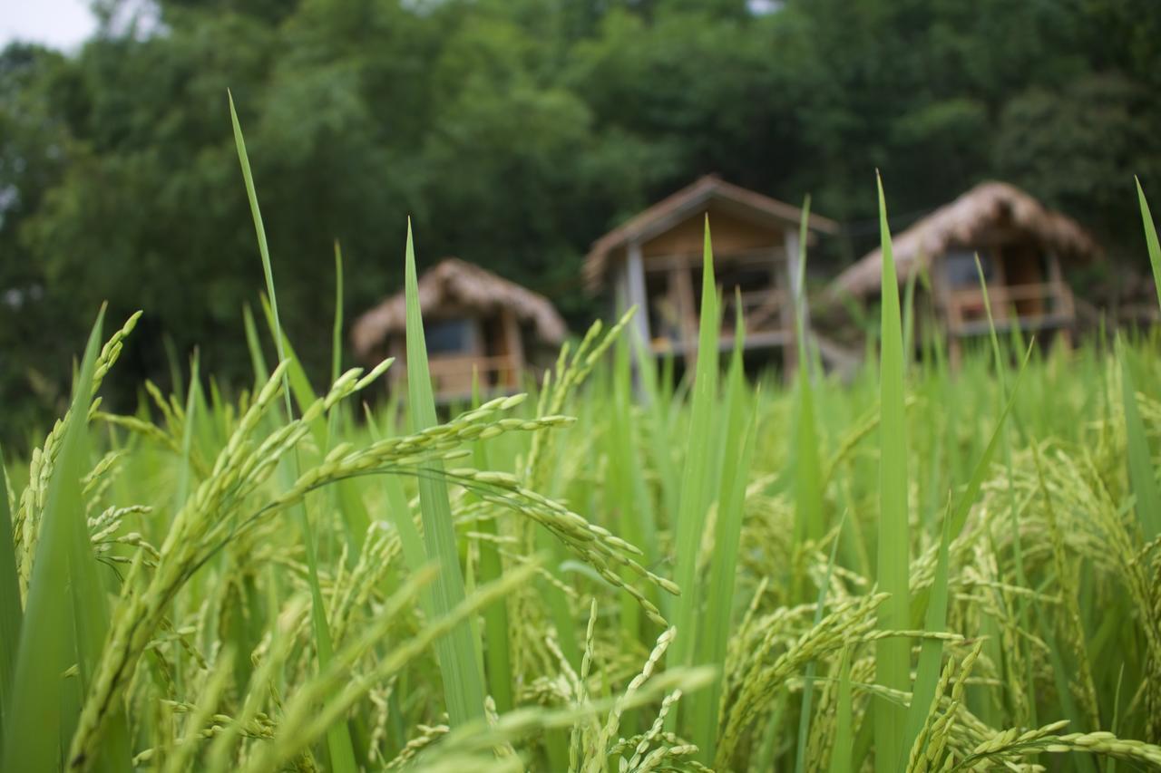 Little Mai Chau Home Stay Extérieur photo