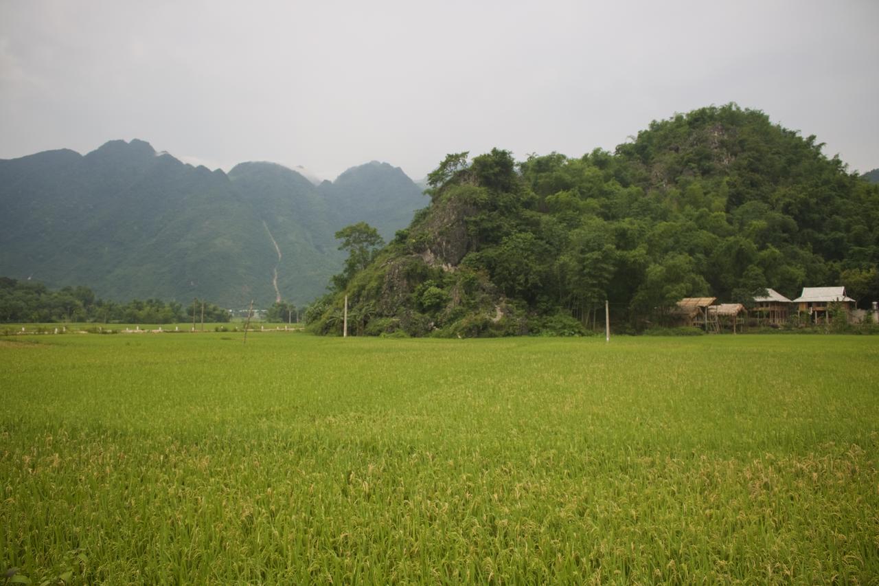 Little Mai Chau Home Stay Extérieur photo