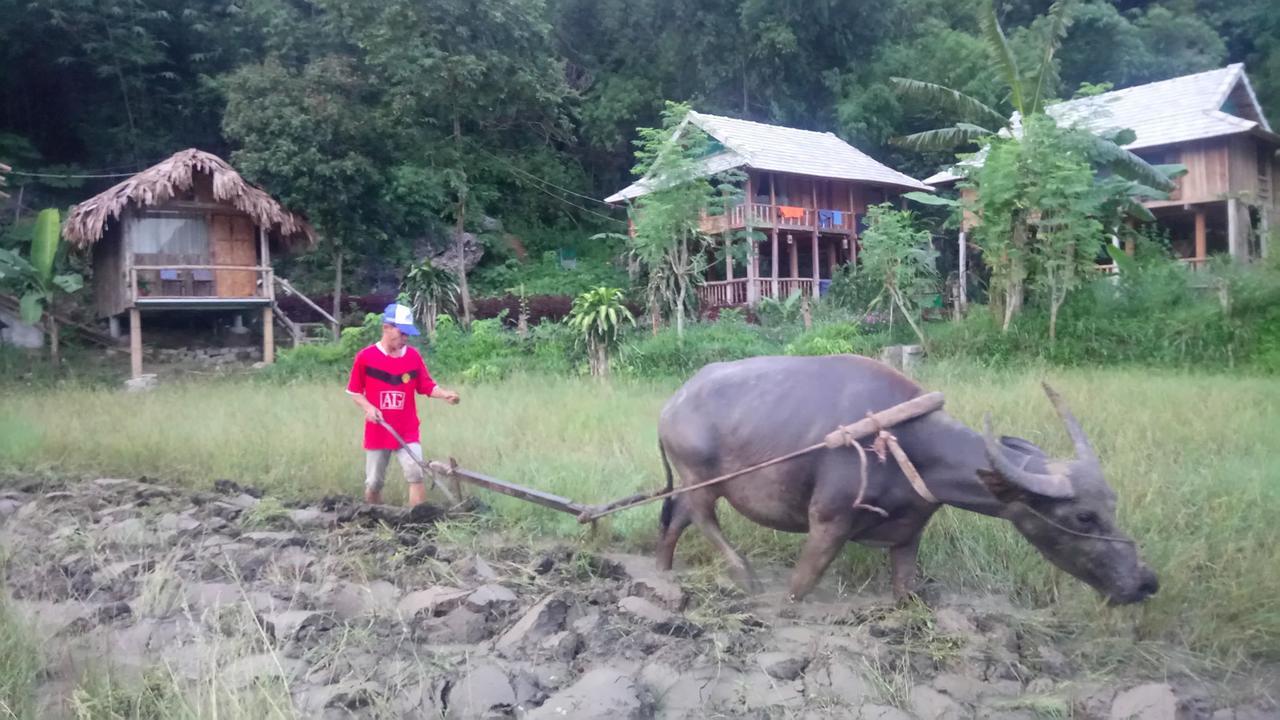 Little Mai Chau Home Stay Extérieur photo