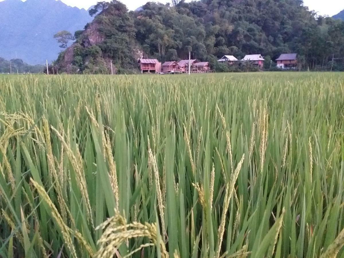 Little Mai Chau Home Stay Extérieur photo